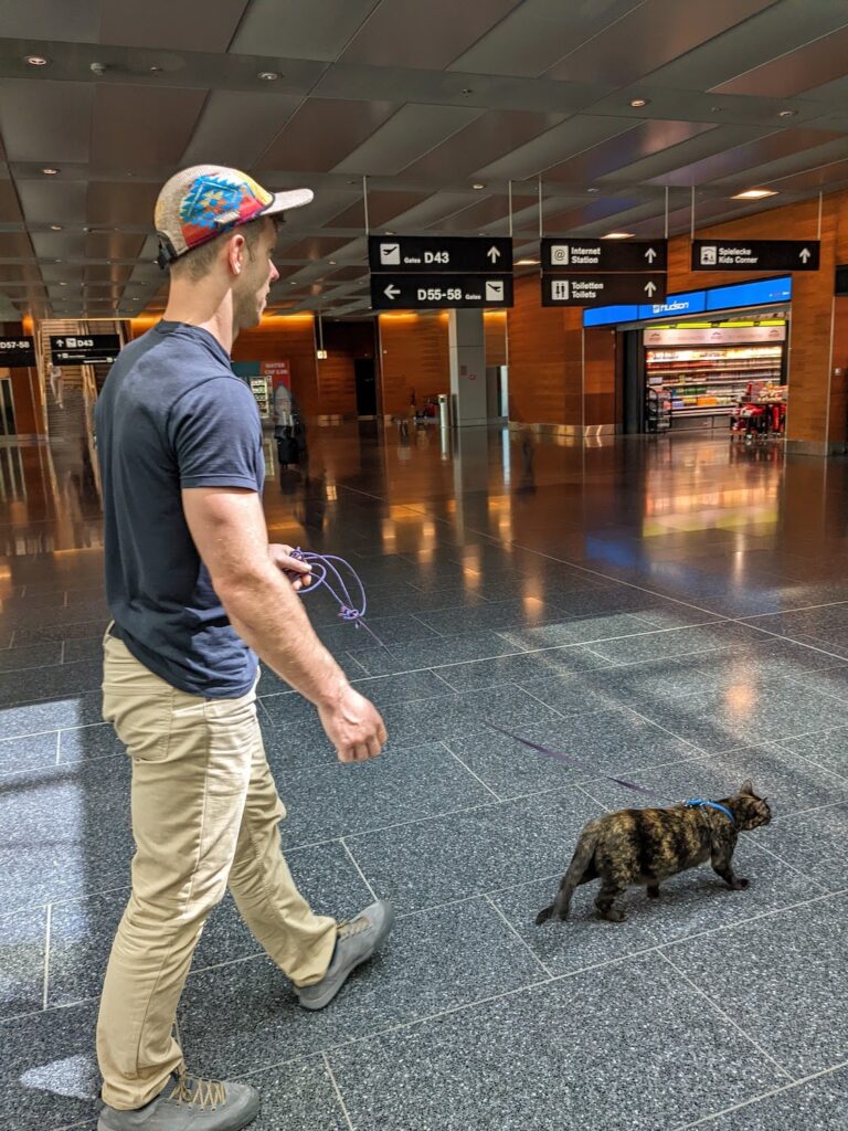 man walking cat in the Zurich Airport