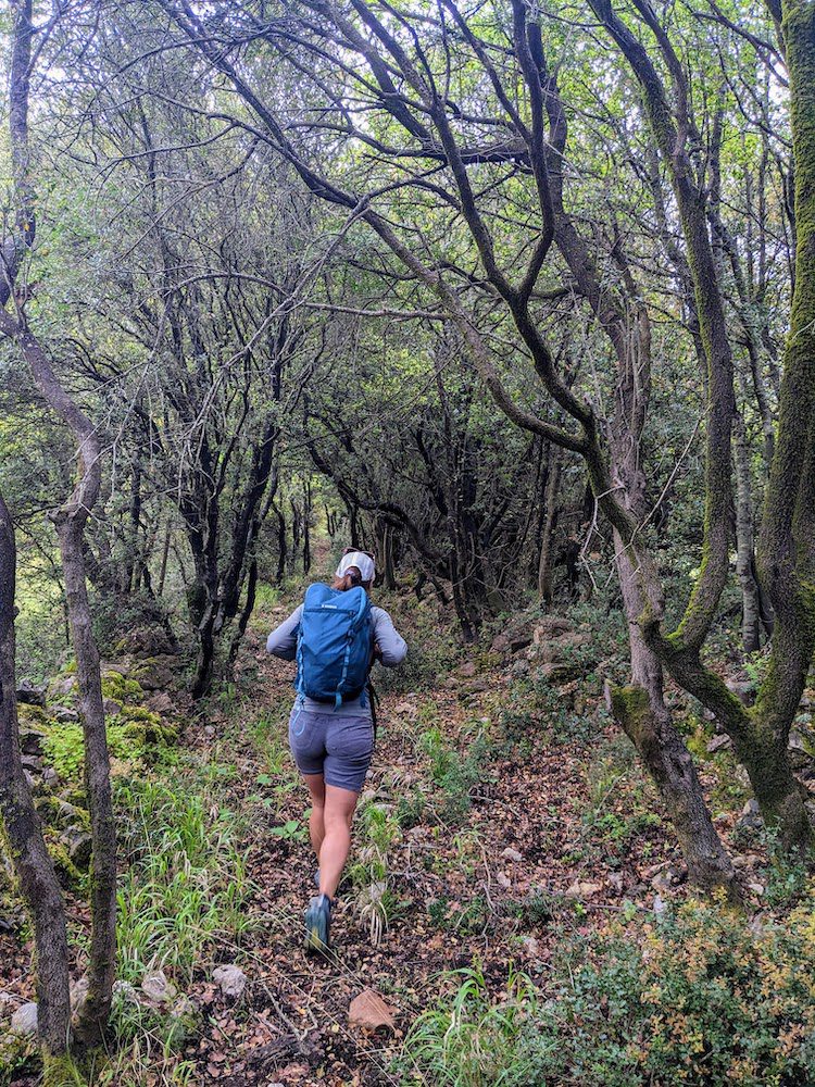 woman hiking a trail with lots of trees