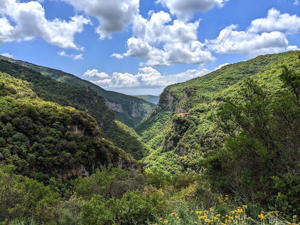 a very green gorge in Greece with two monasteries 