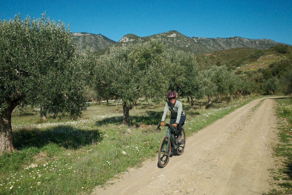 Rose cycling in the mountains through an olive grove