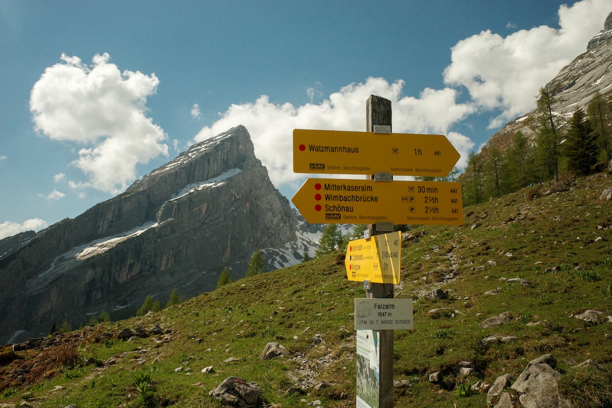 Back to the Alps
